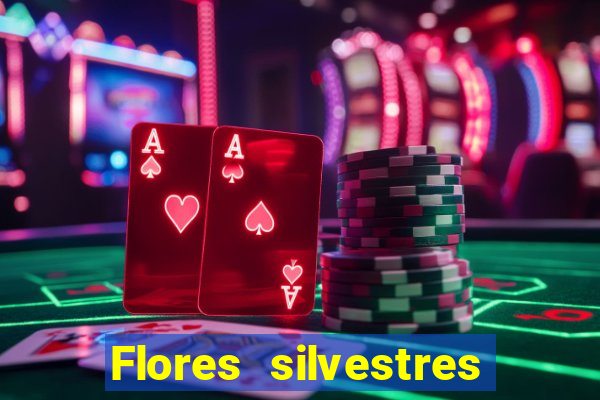 Flores silvestres brasileiras brasileiras flores silvestres nomes e imagens